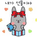 씨더메종