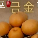 삼화농원 이미지