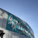 GS칼텍스 | 여자배구 gs 칼텍스 kixx 관람 후기(서울 장충체육관)