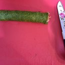 푸른김밥 티스토리