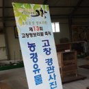 [국내] 전북 고창보리밭/선운사/돋음볕마을 여행사 끼고 다녀온 힐링여행♥-1탄