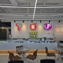 하양하양 이미지