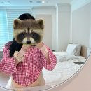 산후조리원 지온 | 지온산후조리원 vvip 후기