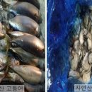 정강식품 이미지
