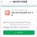 파스쿠찌 대전롯데점 | 대전 탄방동 속눈썹펌 &lt;솔브로우&gt; 후기 / 케라틴영양 속눈썹펌