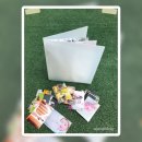토비메모리 | 추억 264개 꽉 채워! 관리 쉬운 토비메모리 대용량 무지 포켓 앨범