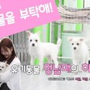 스케치멍 이미지