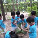 꽃바위어린이집 이미지