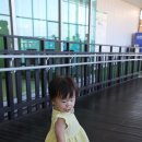 세븐일레븐 인천계산별빛점 | 기타큐슈 공항 면세점 작은데 의외로 쇼핑 보물 가득