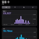 나고야 3박 4일 여행 2일차｜코메다커피→나고야성→야키니쿠까지 도보로 여유롭게 즐긴 하루