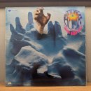 The Magic Top 8 | 블루스 브레이커스와 Summer of Love의 아이들