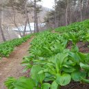 청정농장 이미지