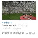 멧돌골 | 춘천 토이로봇관 :: 춘천 아이랑가볼만한곳 토이로봇관+숲놀이터