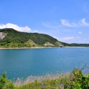 소나무집펜션민박 이미지