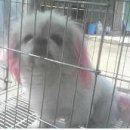 청솔1차A 이미지