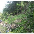 미완성농장 이미지