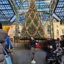 주식회사 성도 | 겨울 도쿄 디즈니랜드 크리스마스 후기: 쫄보 놀이기구 추천! 퍼레이드, 오픈런부터 밤까지!!