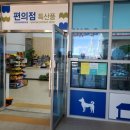 진도 소고기 대파국 이미지