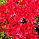 대우효령아파트 경로당 이미지