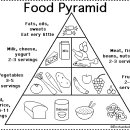 food pyramid with questions 이미지