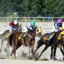 경마공원대로 이미지