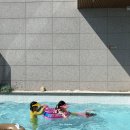 스테이365 이미지