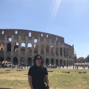 콜로세움 이미지
