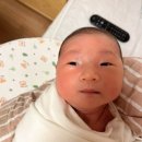 [임신기록#10]미즈제일여성병원조리원 S1 13박 14일 후기