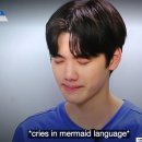 희아 이미지