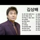 몇 미터 앞에 두고 (김상배) 이미지