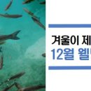 웰빙축산 이미지