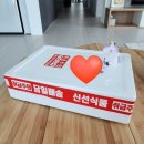 설향딸기 달달한 해드리오 겨울딸기