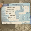 상하이여행 춘추항공 후기 수화물, 입국신고서, 항공권 구매 전 필독