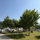 요가 E반 | 원더러스트 코리아 2026 후기 | 3년 연속 개근러가 말...문화 비축기지 '찐' 분위기 (요가 좋아하면 필수)