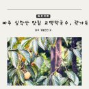카페락가든 | 경기도 파주 가볼만한곳 심학산 맛집 교맥막국수 카페 락가든