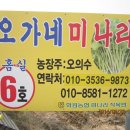 기선농장 이미지