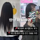 아일헤어 이미지