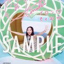 20페이지(20PAGE) 이미지