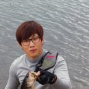 창선면 적량1 이미지