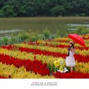 카페25 - 충주시 | 카페25