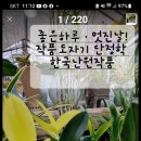 법인석곡