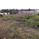 강정동-4 이미지