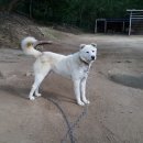 자룡농장 이미지