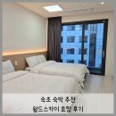 스카이호텔 | 속초 여행 숙박 추천 월드 스카이 호텔 위치 패밀리트윈 후기