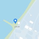 설렘,봄날의꽃 티스토리