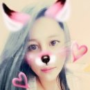 오CAR 이미지