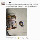 점핑줄넘기 교육관 | [공지] [옥정합기도,옥정검도,옥정동합기도, 옥정동검도 추천] 유쾌한 선물🫶 JTA인성교육관 패밀리도장