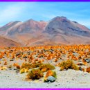 빛과 소금 이미지