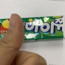 혜인민박 | 27. 대체 언제까지 이렇게 살텐가