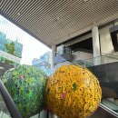 메종카누네 | W05. 메종드아나하 웨딩홀 투어 상담 후기 및 당일 계약 혜택 (26년 하반기 견적 공유, 계약X)